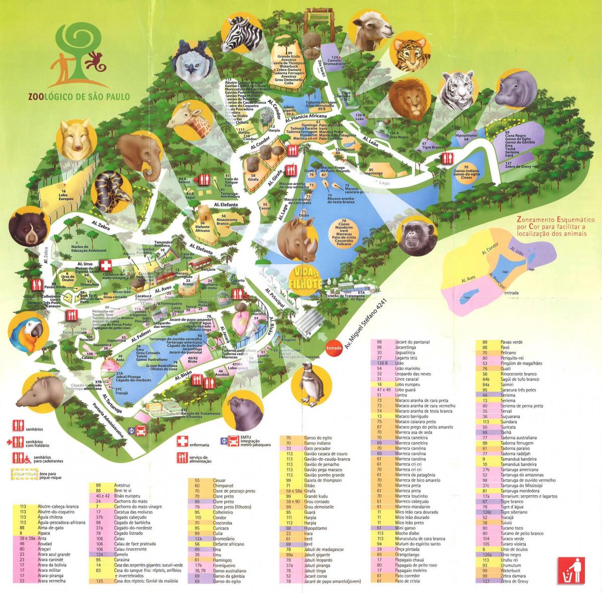Kart zoo park San Paulo