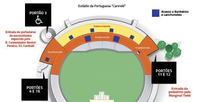 Kart stadionun San-Paulo Canindé