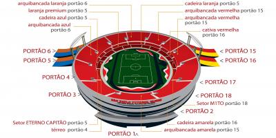 Kart stadionun San-Paulo Морумби