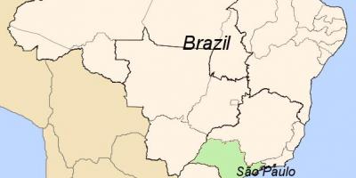 Kart San-Paulo Braziliya